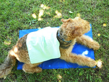 Load image into Gallery viewer, Pet One Cooling Towel 66cm x 43cm