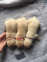 Load image into Gallery viewer, Paracord collars - Puppy Collars & Things