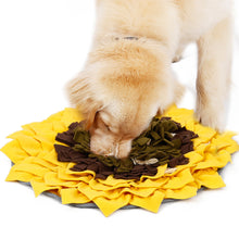 Load image into Gallery viewer, Liakk Snuffle Mat for Dogs, Dog Feeding Mat, Dog Puzzle Toys, for Encourgaing Natural Foraging Skills for Cats Dogs - Puppy Collars & Things