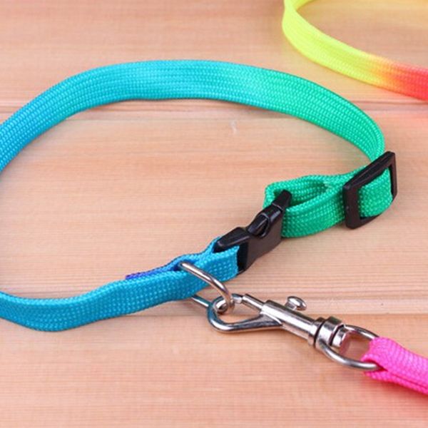 Rainbow puppy collar and lead set Puppy Collars & Things