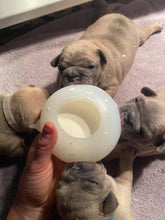 Load image into Gallery viewer, Silicone Puppy / Kitten Feeder (100 % Food Grade Silicone) 2 sizes - Puppy Collars &amp; Things
